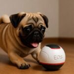 실시간 동행 파워볼 결과 읽는 방법과 동행복권 파워볼 사이트에서 활용하는 5분 게임 팁