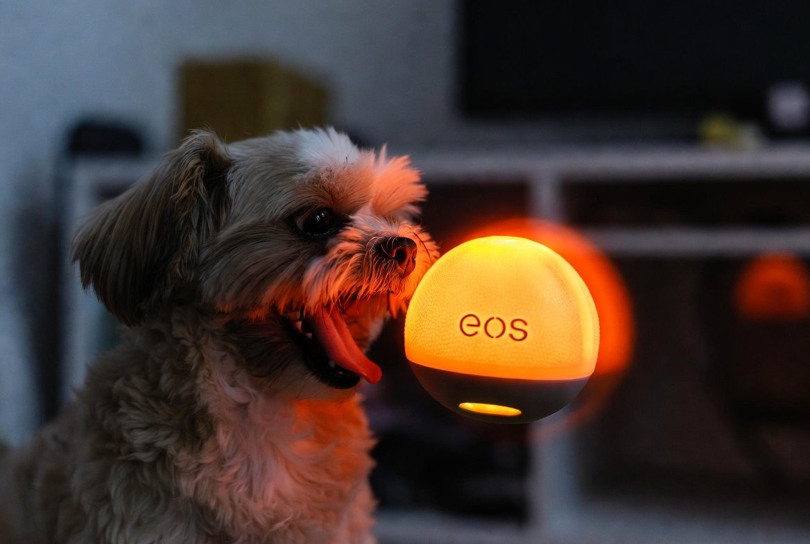 실시간 동행 파워볼 결과 읽는 방법과 동행복권 파워볼 사이트에서 활용하는 5분 게임 팁